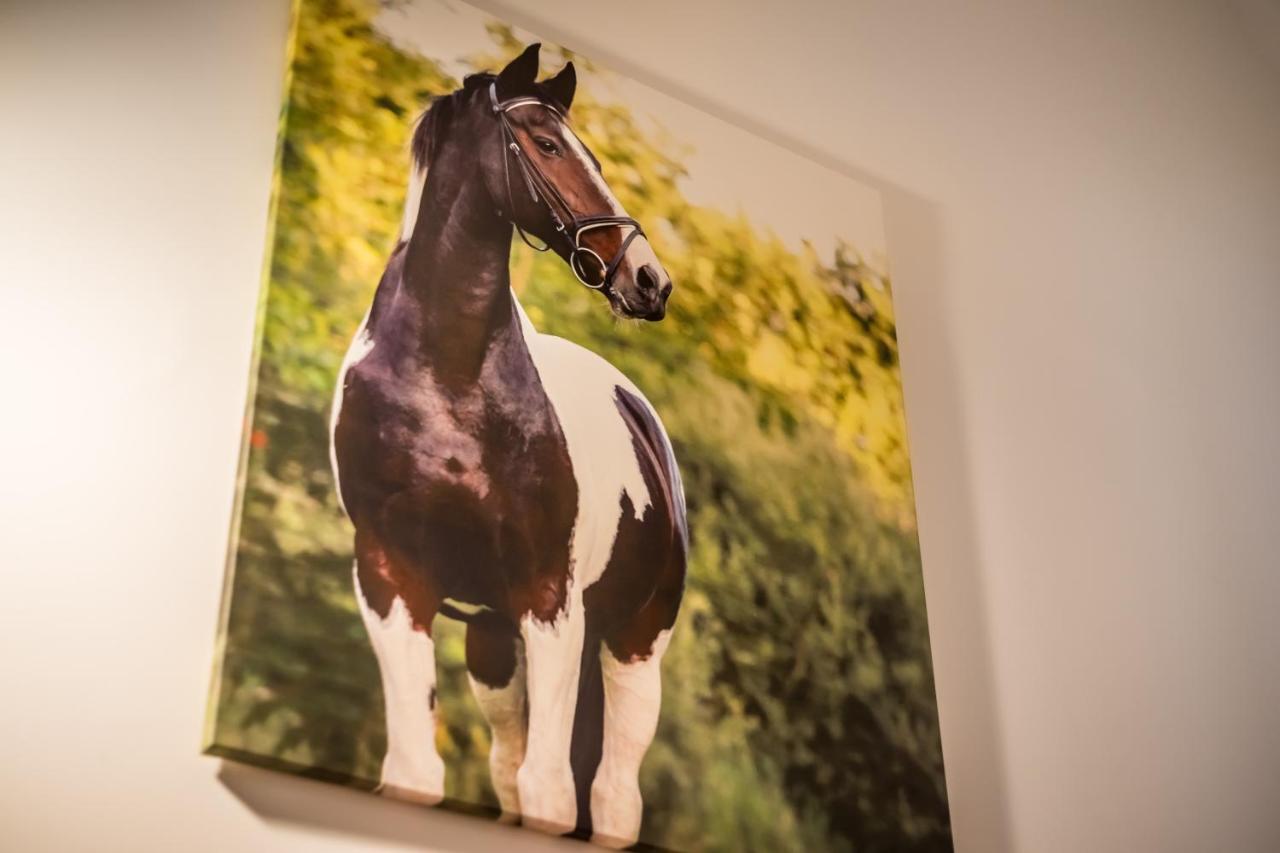 Appartement Urban Stable Luxury